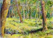 ipadwoodland-jpg