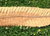 wood_leaf-jpg