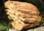 wooden_head_back-jpg